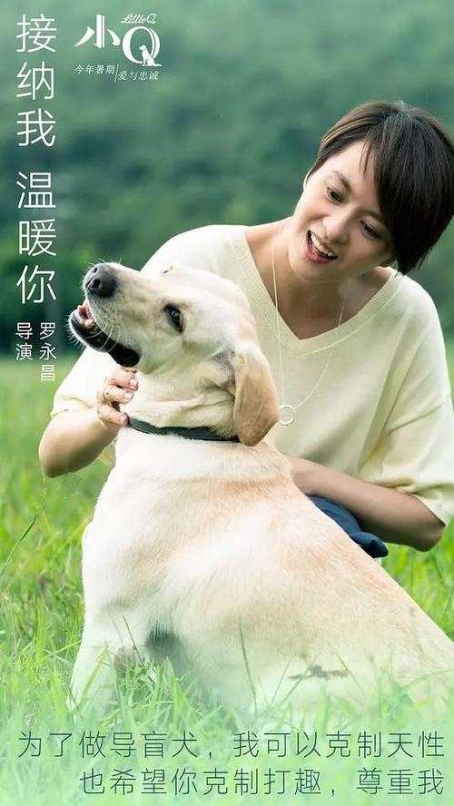 山财学士学位证书什么样子